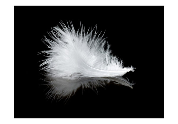 Fototapete - White feather – Bild 2