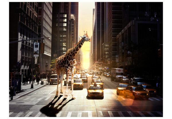 Fototapete - Giraffe in einer großen Stadt – Bild 2