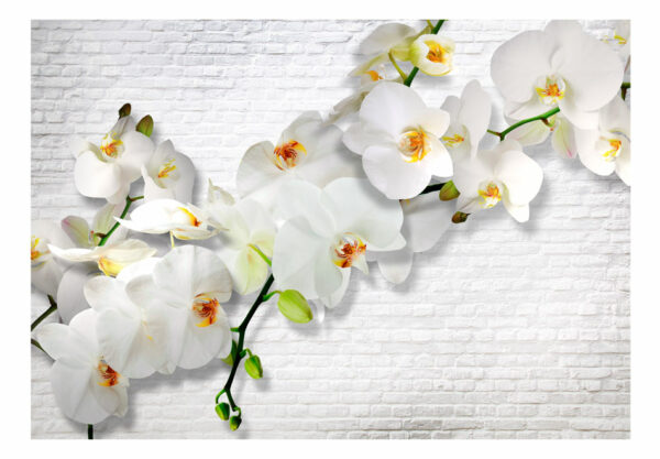Fototapete - The Urban Orchid – Bild 2