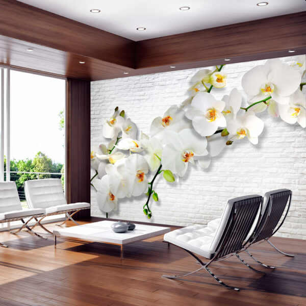 Fototapete - The Urban Orchid