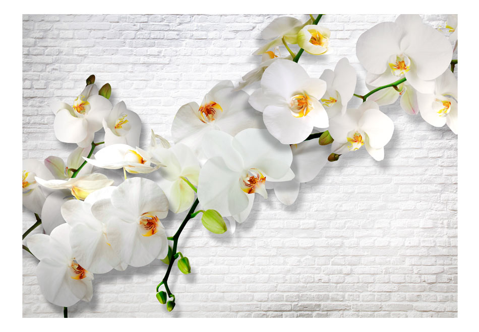 Fototapete - The Urban Orchid – Bild 2