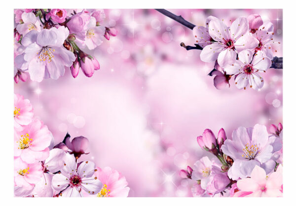 Fototapete - Say Hello to Spring – Bild 2