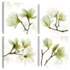 Leinwandbild - Bewunderung der Magnolie