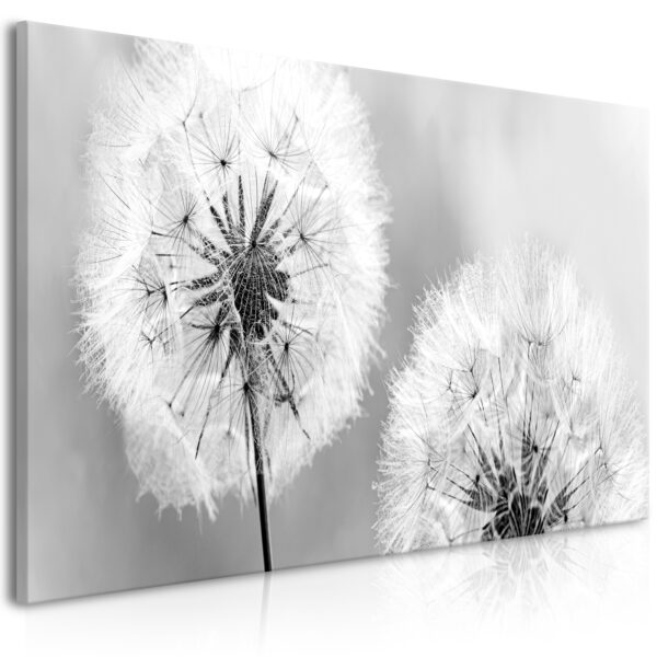 Leinwandbild - Fluffy Dandelions (1 Part) Grey Wide