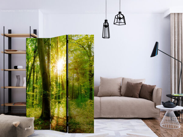 Paravent - Forest Rays [Room Dividers] – Bild 2