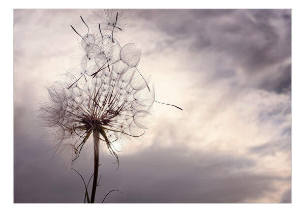 Fototapete - Gentle Wind – Bild 2