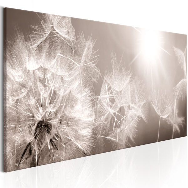Leinwandbild - Summer Dandelions