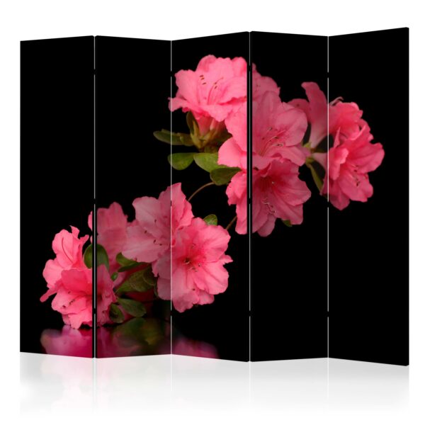 Paravent - Azalea in Black II [Room Dividers]