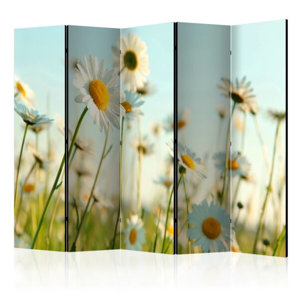 Paravent - Daisies - spring meadow II [Room Dividers]