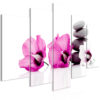 Leinwandbild - Calm Mallow (5 Parts) Wide Pink