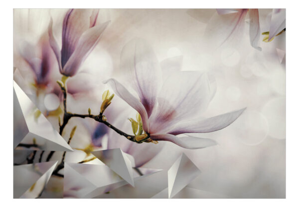 Fototapete - Subtle Magnolias - First Variant – Bild 2