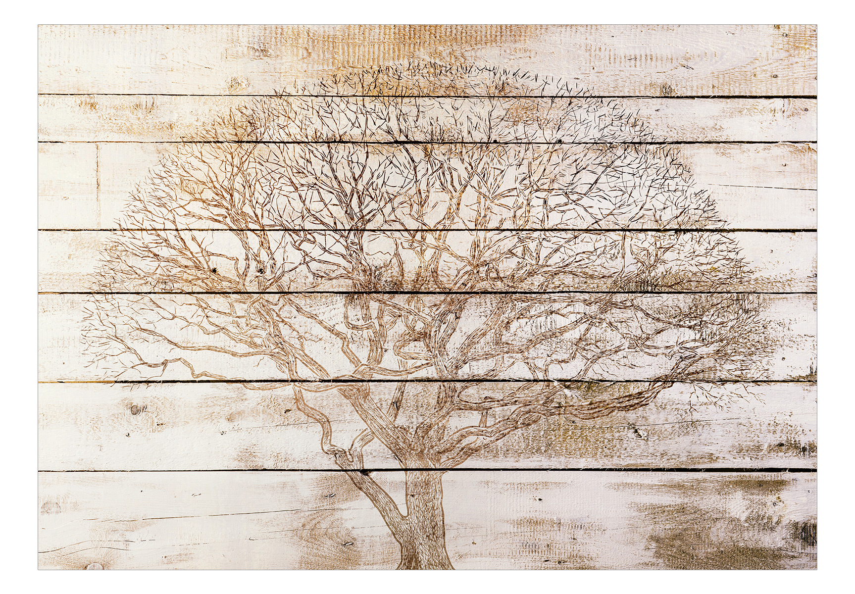 Fototapete - Tree on Boards – Bild 2