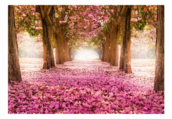 Fototapete - Pink grove – Bild 2