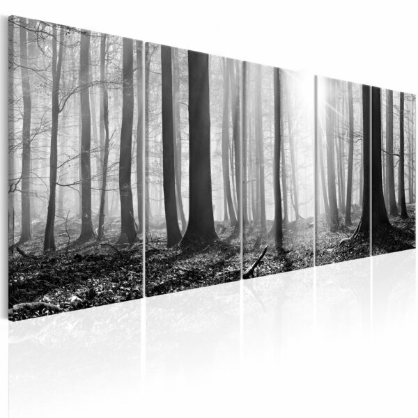 Leinwandbild - Monochrome Forest