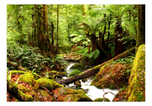 Fototapete - Forest Brook – Bild 2