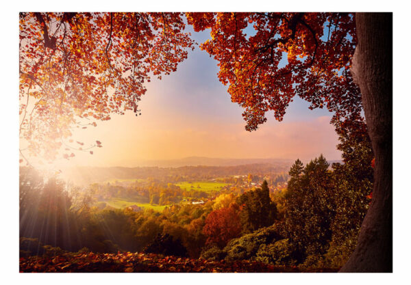 Fototapete - Autumn Delight – Bild 2