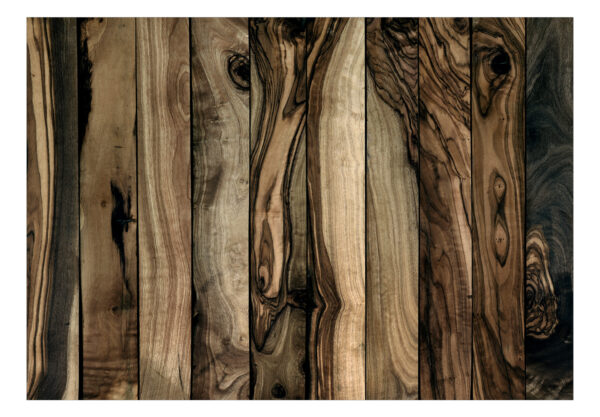 Fototapete - Olive Wood – Bild 2