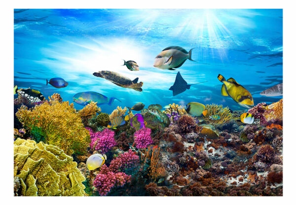 Fototapete - Coral reef – Bild 2