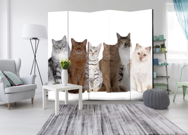 Paravent - Sweet Cats II [Room Dividers] – Bild 2