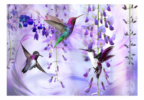 Fototapete - Flying Hummingbirds (Violet) – Bild 2