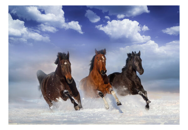 Fototapete - Horses in the Snow – Bild 2