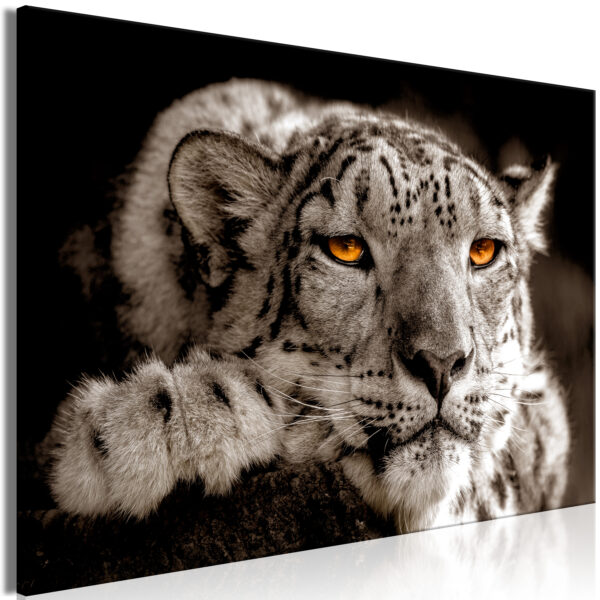 Leinwandbild - Magic Eyes (1 Part) Wide