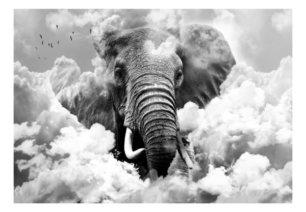 Fototapete - Elephant in the Clouds (Black and White) – Bild 2