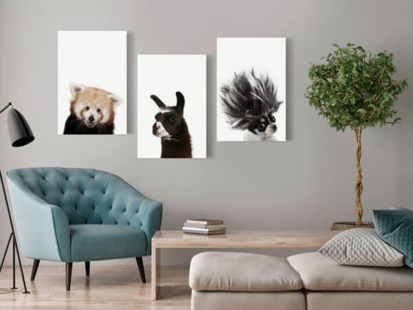 Leinwandbild - Friendly Animals (Collection) – Bild 2