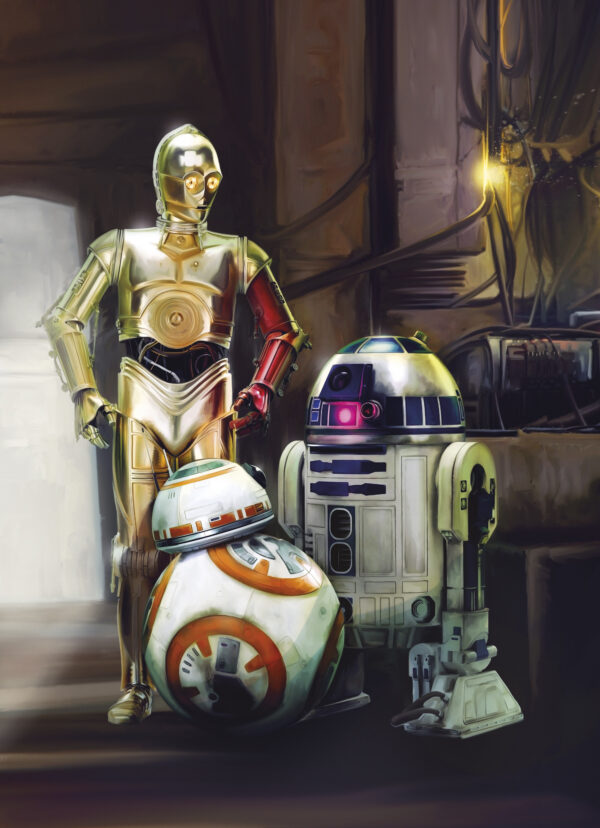 Papier Fototapete - STAR WARS Three Droids – Bild 2