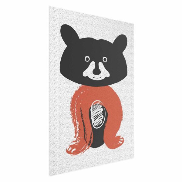 Poster - Friendly Mr. Raccoon