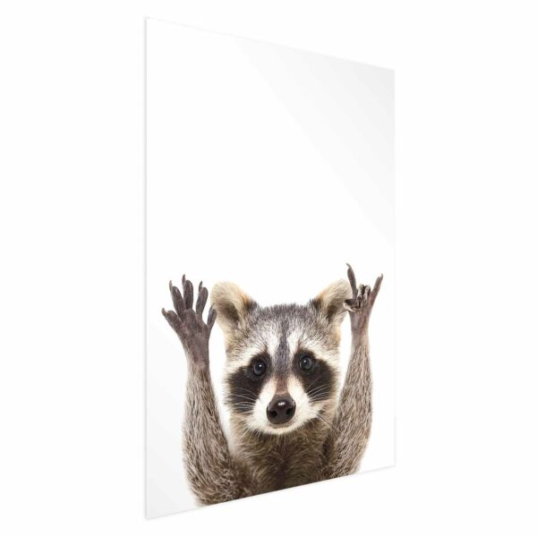 Poster - Raccoon