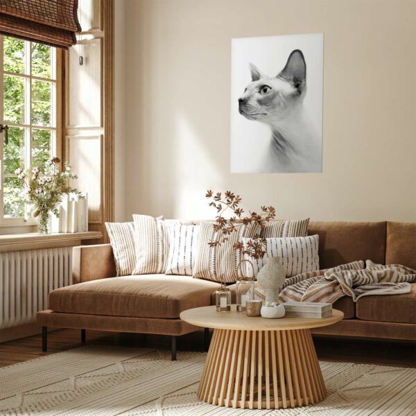 Poster - Hairless Cat – Bild 2