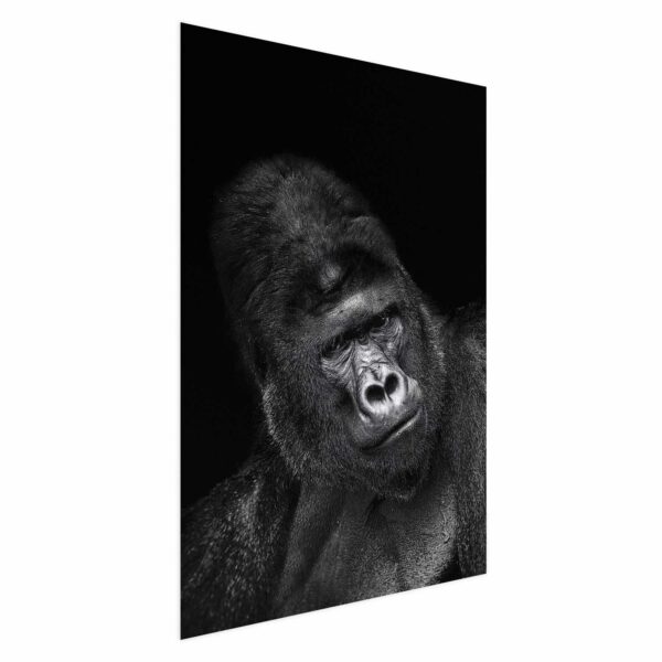 Poster - Gorilla